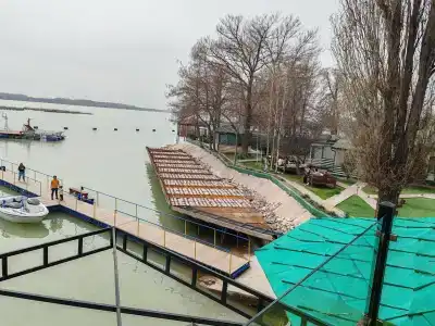 Сазан - 38