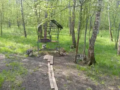 Лесная дача - 5