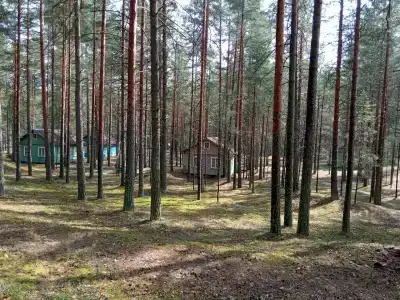 Лотос - 0