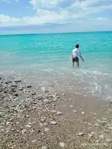 Шепси - 46
