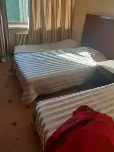 Мечта Тея - 81