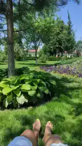 Великовечное - 28