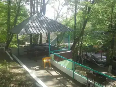 Лесная сказка - 0