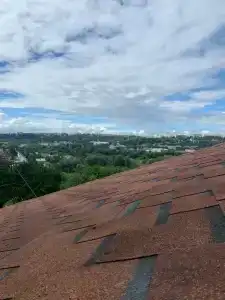 АртБарин - 12