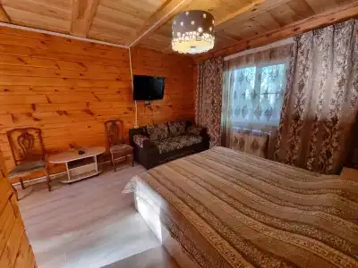 Теремок - 49
