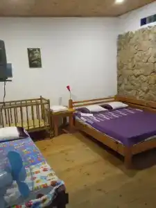 Розмарин - 20
