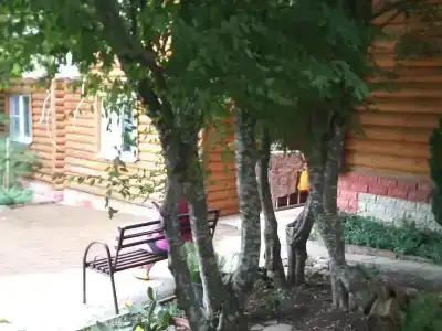 Анастасия - 6
