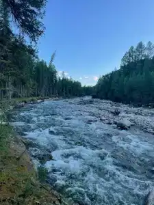 Тихий Бор - 1