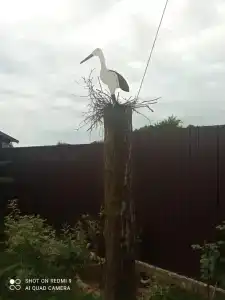 Беловежское Поместье - 18