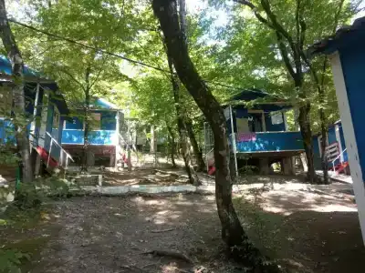 Золотое руно - 13