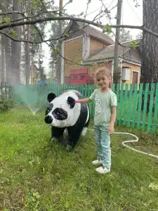Никоново - 34