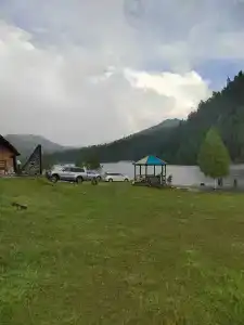 Юрток - 40