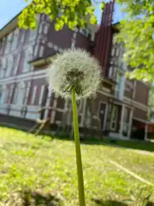 Гостевая Изба на Истре - 44