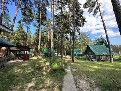 Медведь - 2