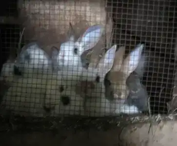 База отдыха 4 стихии - 16