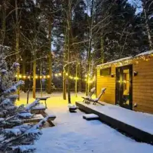 Лесной Привал - 62