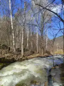 Кук-Караук - 30