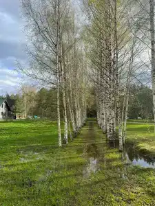 Эковиладж Селигер - 34