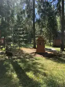 Приречье - 9