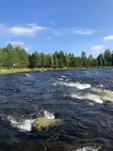 Сегежа Парк - 73