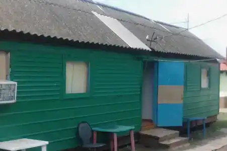 Дружба - 50