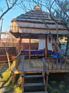 Курочка ряба - 33