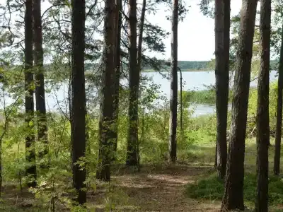 Кристалл - 24