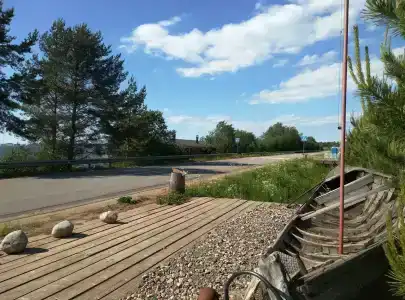 Онежский петроглиф - 5