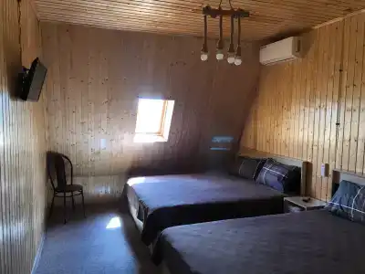 Baunty - 31