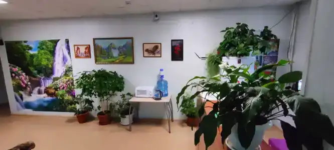 Волга - 6