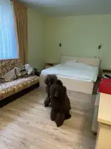 Русская пирамида - 31