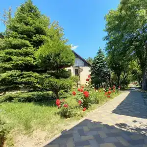 Снегири - 48