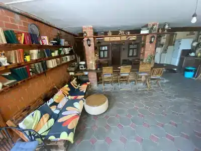 Подсолнух - 44