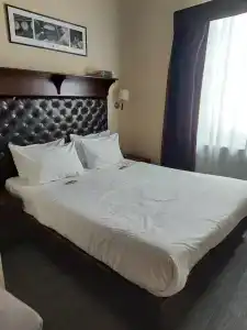 11 Hotel & Garden - 37