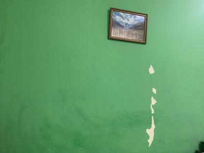 Green House Tashkent - 36