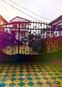 Карина - 1