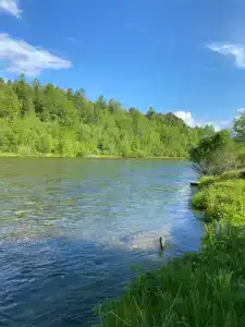Выдринка - 0