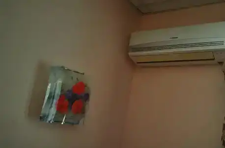 Шатура Холл - 33