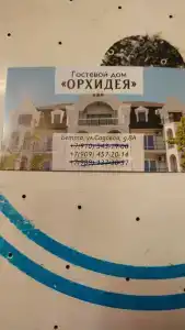 Орхидея - 11