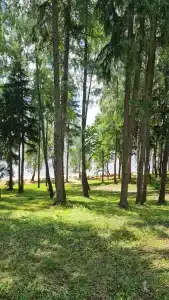 Лопотово - 62