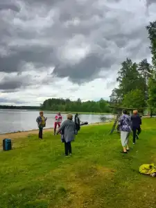 Медовец - 36