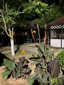 Белый Берег - 89