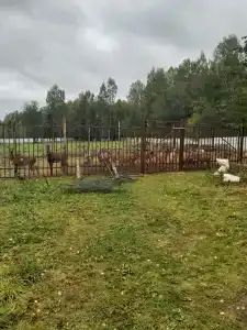 Ухра - 34