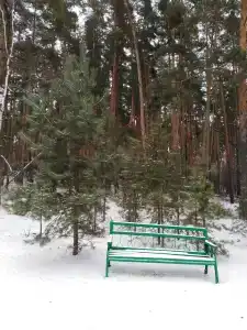 Лесная жемчужина - 19