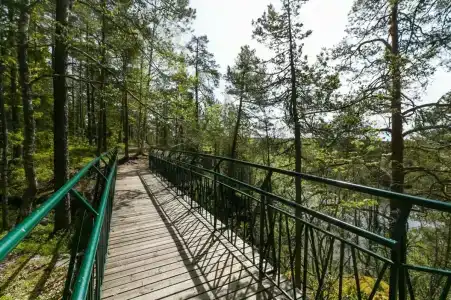 Ладожская Усадьба - 62