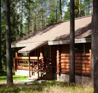 Морошка Эко Вилладж - 41