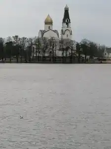 Тарховский - 29