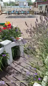 Фламинго - 57