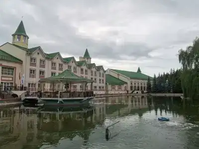 Богородское - 19