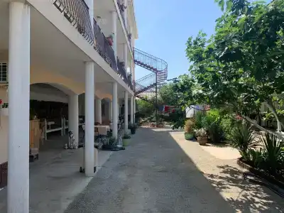 Амир-Дани - 9